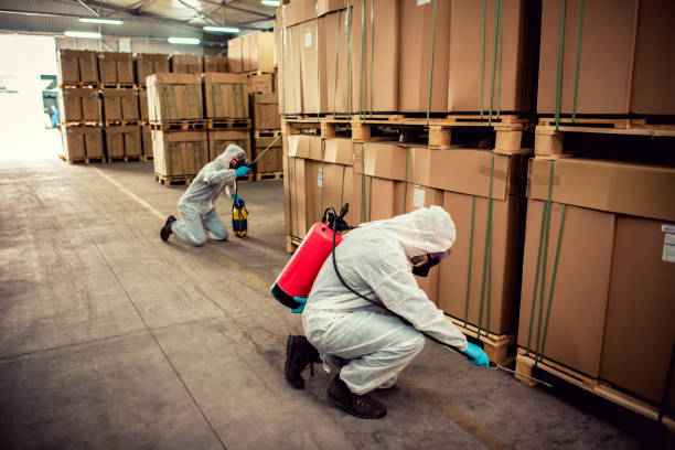 Best Pest Control Near Me  in Archbald, PA