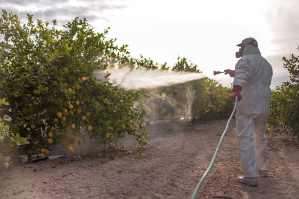 Best Cockroach Control Services  in Archbald, PA